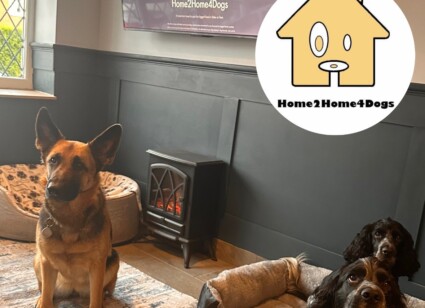 Small Business of the Year entrant – Home2home4dogs