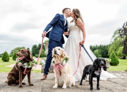 Small Business of the Year entrant – Precious Pets Weddings