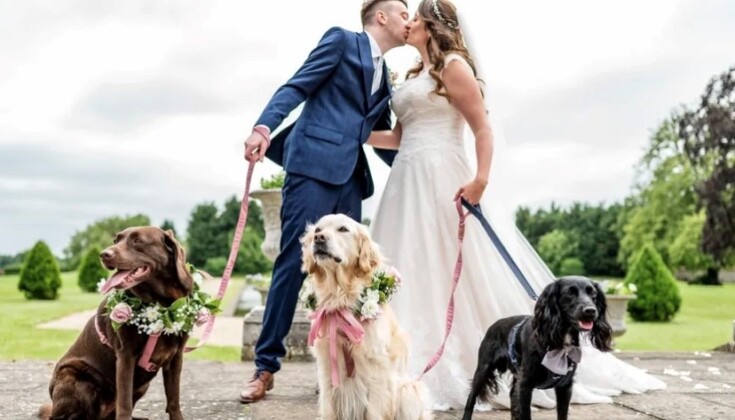 Small Business of the Year entrant – Precious Pets Weddings