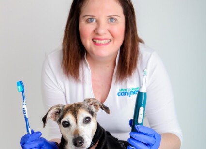 Skills For The Future and Small Business of the Year entrant – Ultra Clean Canines